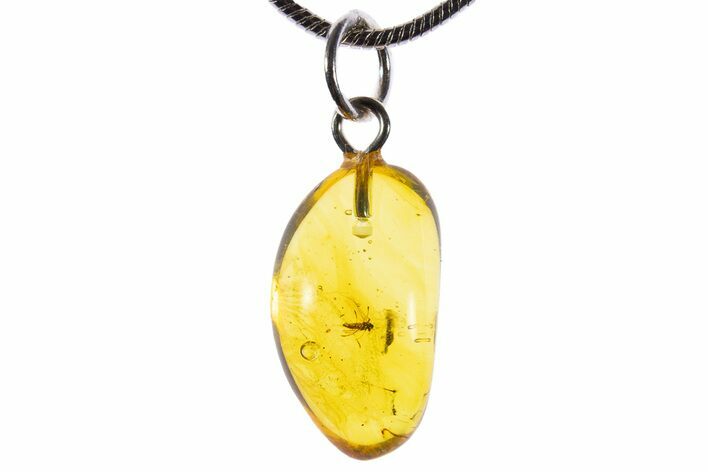 Polished Baltic Amber Pendant (Necklace) - Contains Fly! #339602